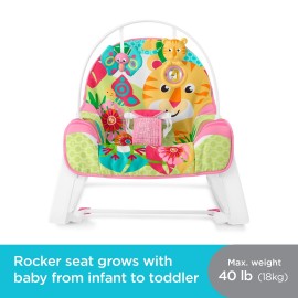 Fisher Price Infant-To-Toddler Rocker 