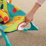 Fisherprice rocker dark safari 2