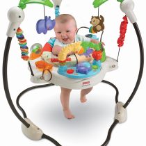 Fisherprice jumperoo 2