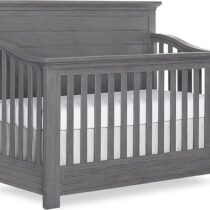 81ZwY6SAJjL._AC_SX679_